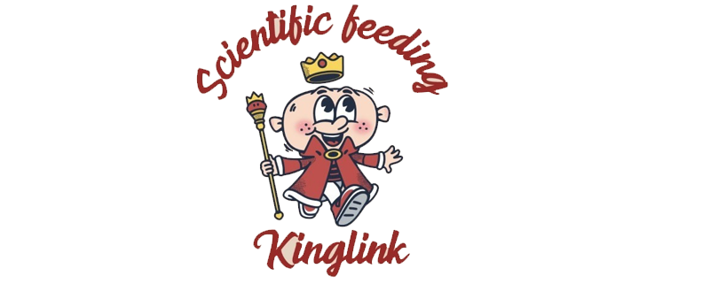 国王林克KINGLINK®